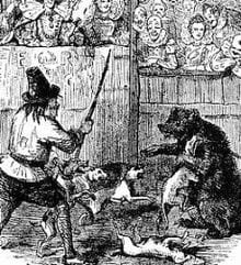 Etching of bear baiting at Shakespeare's Globe Theatre