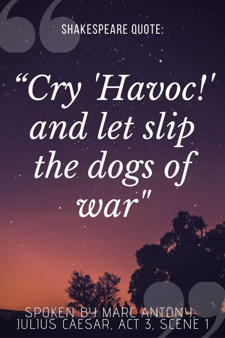 cry havoc and let slip the dogs of war quote, words on sunset background