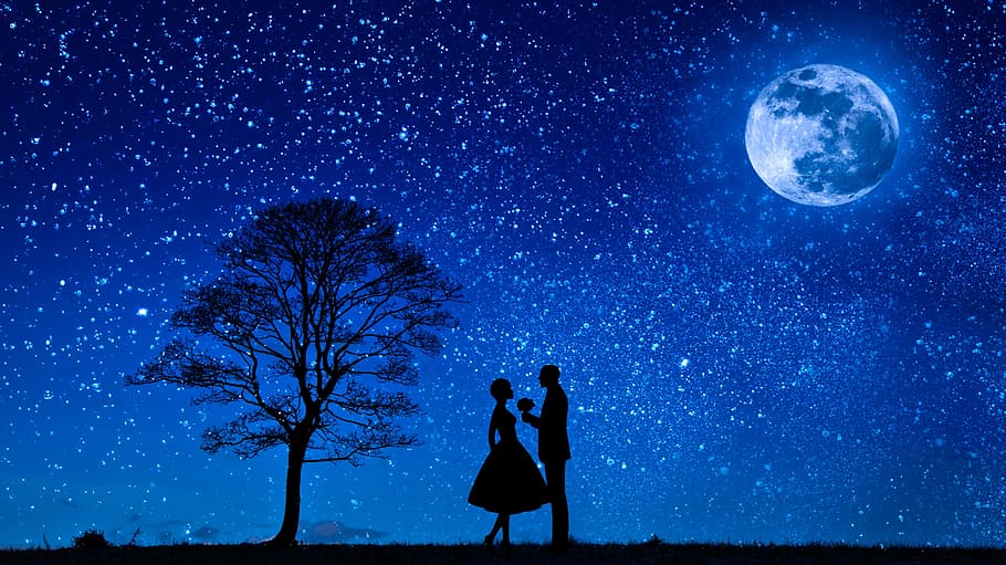 silhouette of two lovers facing each other under a wide stary night, with full moon