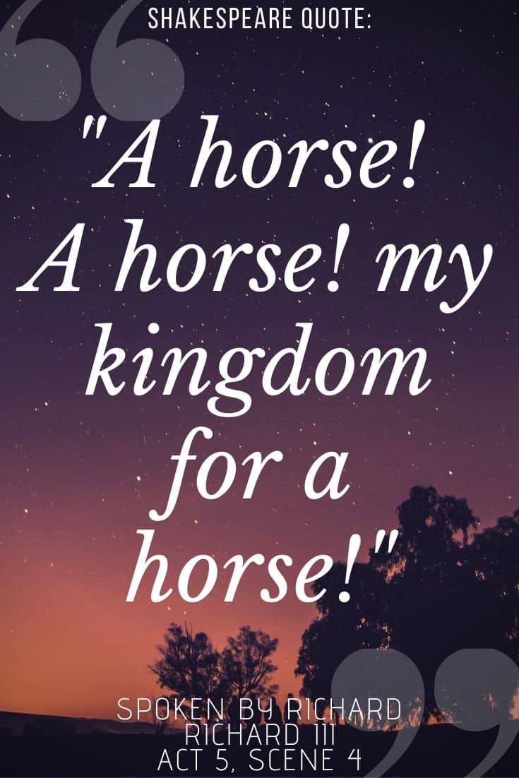Richard III quotes on sunset background - 'my kingdom for a horse'