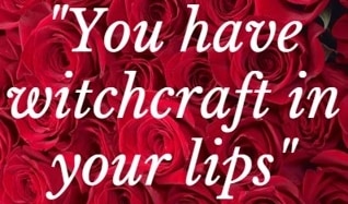 shakespeare love quote for valentines day on red rose backgrounnd - 'you have witchcraft in your lips'