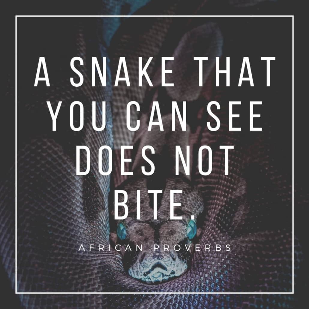 african proverbs - a snake that you can see does not bite