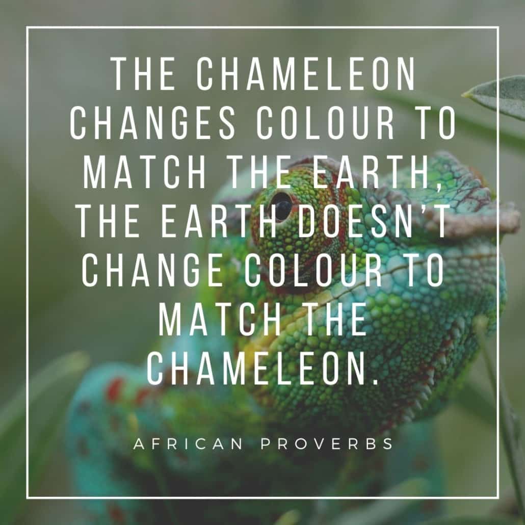 african proverbs - the chameleon changes colour