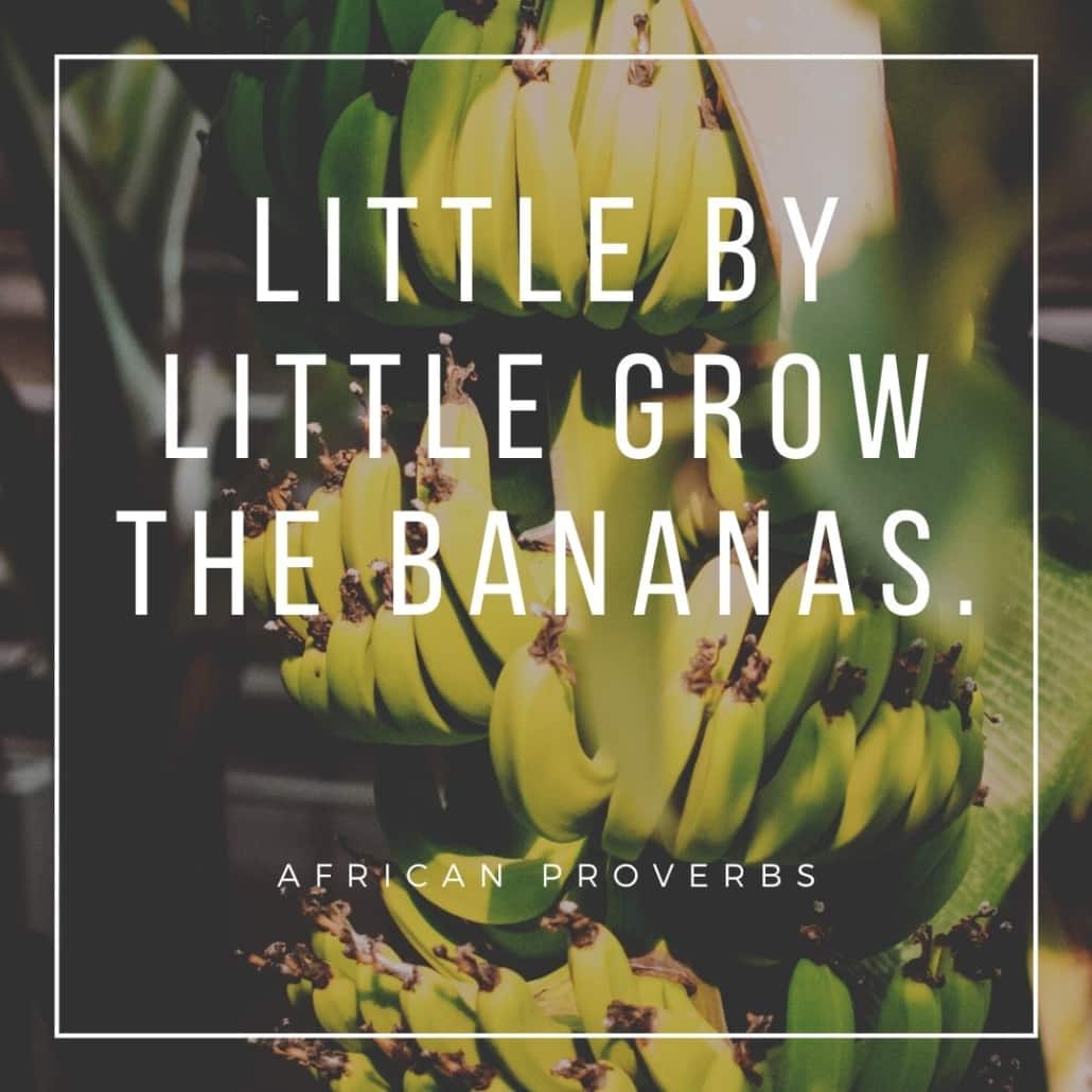 african proverbs - little by little bananas grow