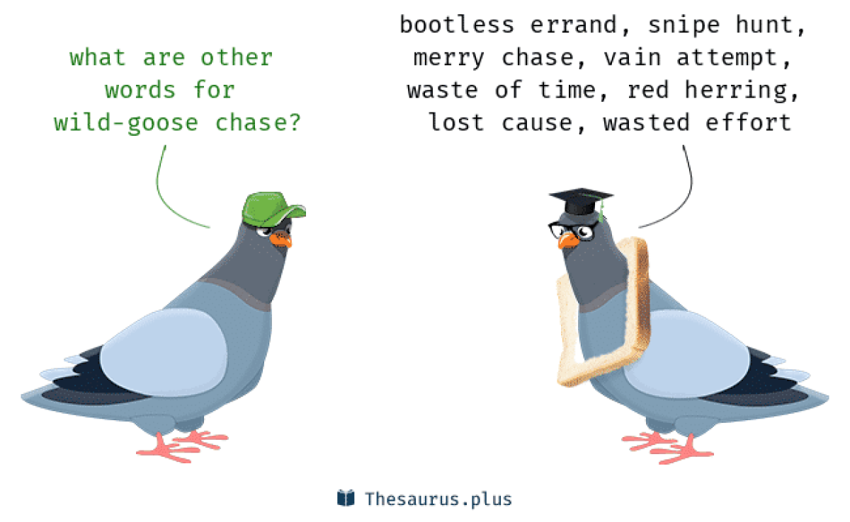 Wild Goose Chase', Meaning & Context Of Shakespeare Phrase