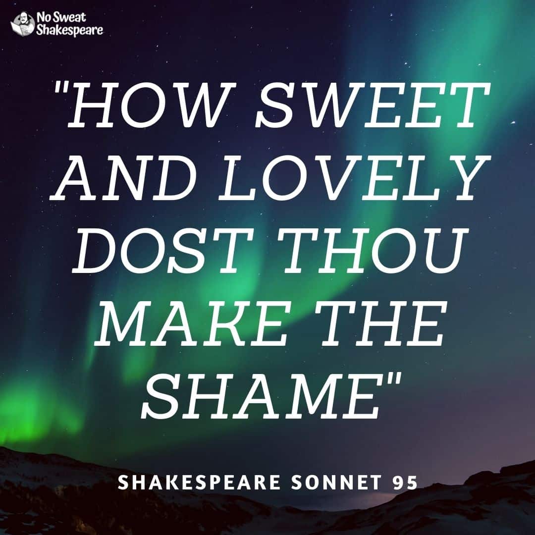 shakespeare sonnet 95 opening line
