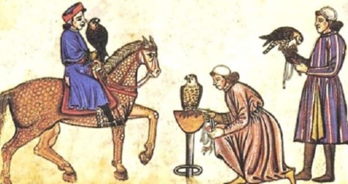 medieval falconry